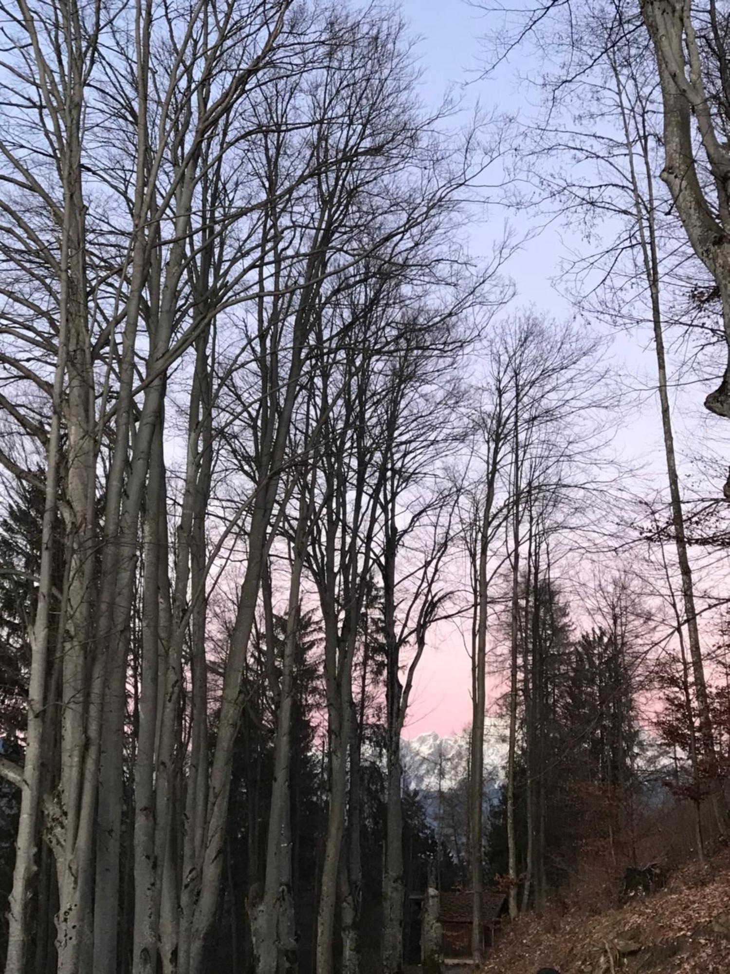 Villa Lioda Living à Pieve di Cadore Chambre photo